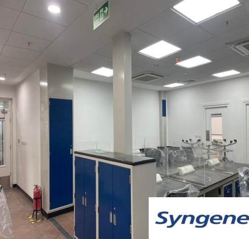Interior Works S1 Building @ Syngene Biocon Bangalore 5